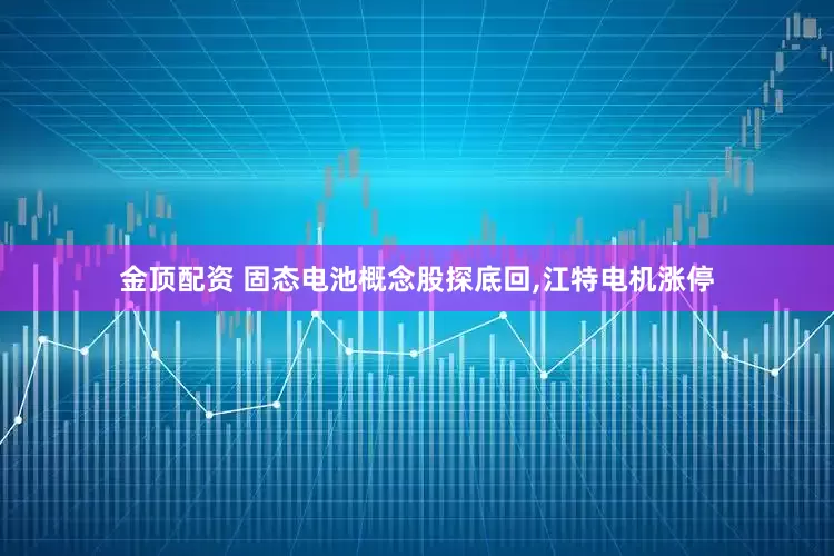 金顶配资 固态电池概念股探底回,江特电机涨停