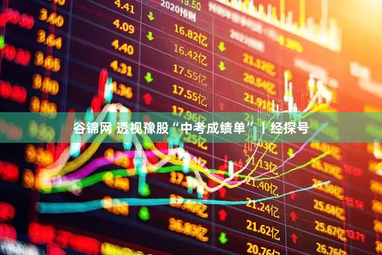 谷锦网 透视豫股“中考成绩单”丨经探号