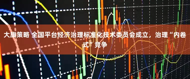 大旗策略 全国平台经济治理标准化技术委员会成立，治理“内卷式”竞争
